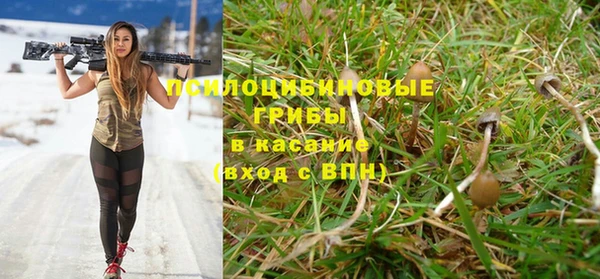 MESCALINE Инсар